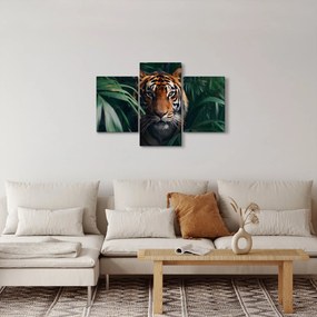 Obraz - Portrét tigra v džungli (90x60 cm)