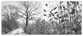 Obraz - Pole v zime (120x50 cm)