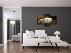 Obraz - Odpočívajúci vlk (90x60 cm)