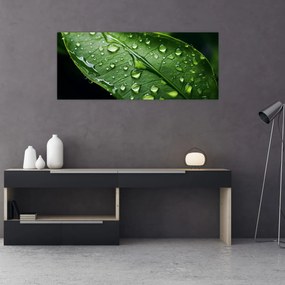 Obraz - List po daždi (120x50 cm)