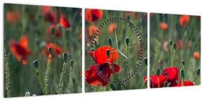 Obraz - Lúka s vlčími makmi (s hodinami) (90x30 cm)