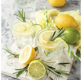 Sklenený obraz Lemonade 20x20 cm