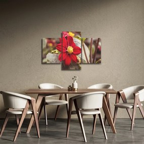Obraz kvetiny (90x60 cm)