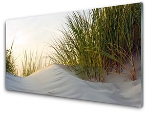 Obraz plexi Piesok tráva krajina 120x60 cm