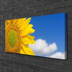 Obraz na plátne Slnečnica mraky 125x50 cm