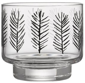 Svietnik Spruce