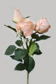 Marhuľová umelá trojkvetá ruža 73cm