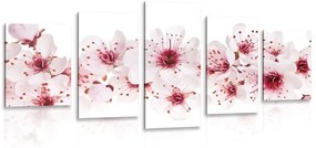 5-dielny obraz čerešňové kvety - 200x100