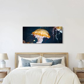 Obraz medúzy (120x50 cm)