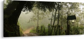 Obraz rannej hmly (120x50 cm)