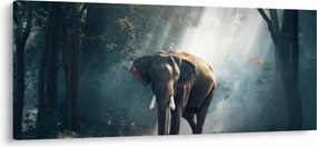 Obraz slona v džungli (120x50 cm)