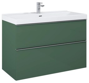 Elita Look, umývadlová skrinka 100x45x64 cm 2S PDW, zelená matná, ELT-168562
