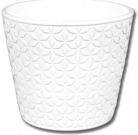 Obal Daisy Sedmikráska 15cm Biela Lesk