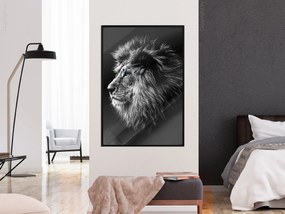 Artgeist Plagát - Blue-eyed Lion [Poster] Veľkosť: 20x30, Verzia: Čierny rám s passe-partout