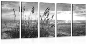5-dielny obraz západ slnka na pláži v čiernobielom prevedení - 100x50