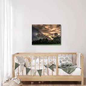 Obraz mračien a lesa (70x50 cm)