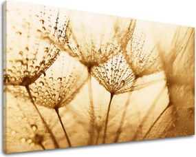 Obraz na stenu KVETY KV071E11 - 100x150 cm