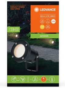 Ledvance - LED Vonkajšia lampa NAUT SPIKE LED/2W/12V IP44