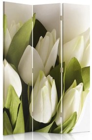 Gario Paraván Čerstvé biele tulipány Rozmery: 110 x 170 cm, Prevedenie: Klasický paraván