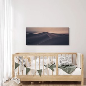 Obraz - Piesočné duny (120x50 cm)