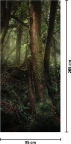 Fototapeta na dvere - Tajomný les (95x205cm)