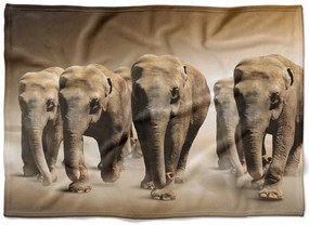 Deka Slony v púšti  (Rozmer: 150 x 120 cm, Podšitie baránkom: NE)