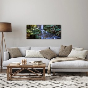 Obraz australského dažďového lesa (120x50 cm)