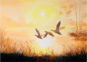 Sklenený obraz - Žeriavy pri západe slnka (70x50 cm)