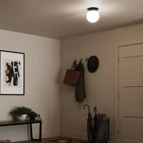 Kichler KL-ALBERS-F-G-BK-Stropné svietidlo ALBERS 1xE27/40W/230V pr.20,3cm čierne