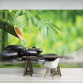 Fototapeta - Zelený relax (254x184 cm)