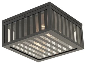 Moderné vonkajšie stropné svietidlo čierne s dymovým sklom 2-svetlo IP44 - Dijon