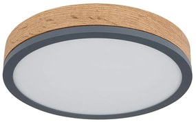 Globo 416080WD1R - LED Stropné svietidlo DORO LED/12W/230V pr. 30 cm