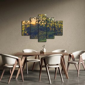 Obraz - Vinice (150x105 cm)