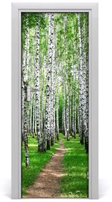 Fototapeta na dvere Břízová les 85x205 cm