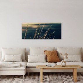 Obraz tráv (120x50 cm)