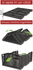 BAMA Box OPLA, zelený