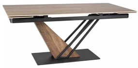 Jedálenský stôl Michel II 160 x 90 cm, dub / čierna