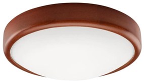 LED stropné svietidlo 1xLED/12W/230V