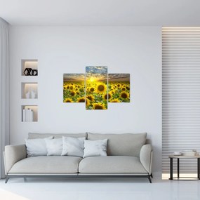 Obraz - Slnečnica pri západe slnka (90x60 cm)