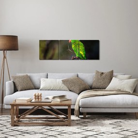 Obraz papagája na vetve (s hodinami) (90x30 cm)