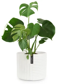 Fox & Fern Hasselt, kvetináč z polystonu, ručne robený