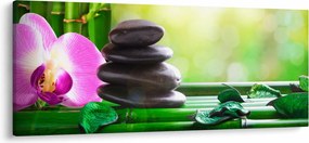 Obraz masážnych kameňov a orchidey na vode (120x50 cm)