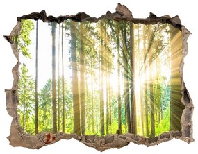 Díra 3D foto tapeta nálepka Forest na slnku nd-k-92474685