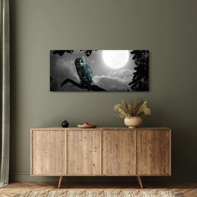 Obraz - Nočná sova, modrá (120x50 cm)