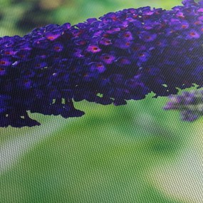 Obraz modrej kvetiny (s hodinami) (90x30 cm)