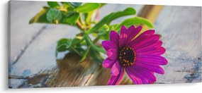 Obraz rezanej kvetiny (120x50 cm)