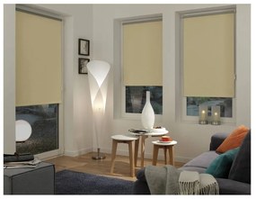 Roleta v prírodnej farbe 42,5x150 cm Mini Termo – Gardinia