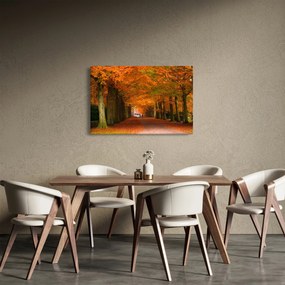 Obraz - Jeseň Alej stromov (90x60 cm)