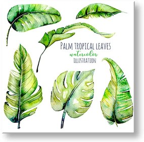 Obraz na stenu s textom Palm tropical leaves | rôzne rozmery