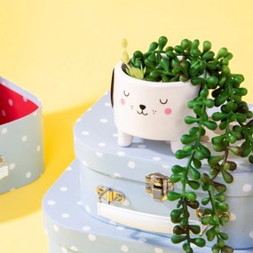 Kartónový kufrík so psíkom - malý